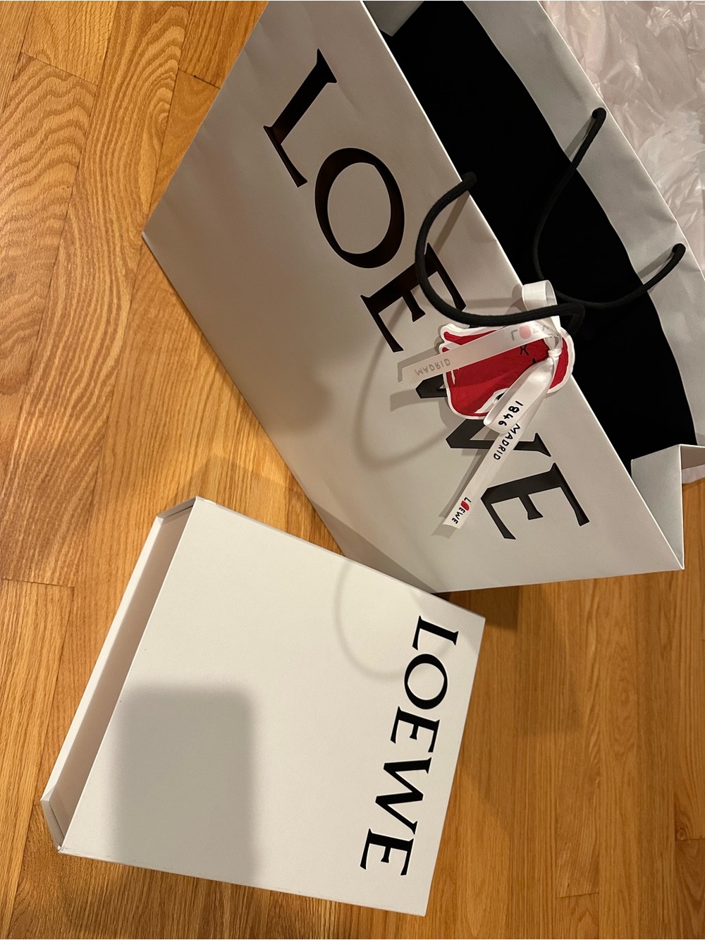 LOEWE large paper shopping bag and gift box